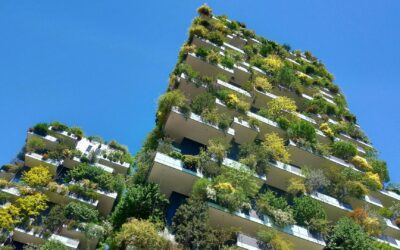 Sustainable Property Investment – Environmental Trends Creating Tomorrow’s Premium Markets