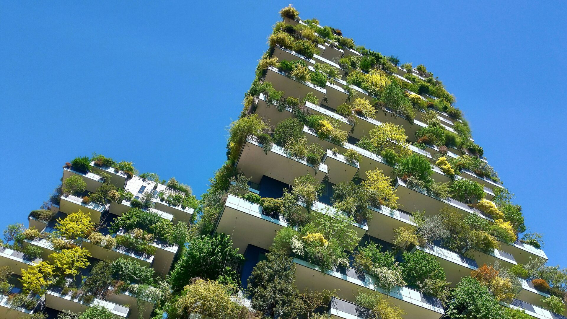 Sustainable Property Investment Sustainable property investment: green building with vertical gardens.