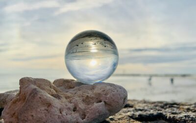 Crystal Ball Property – Expert Predictions for Australia’s Next Property Market Cycle