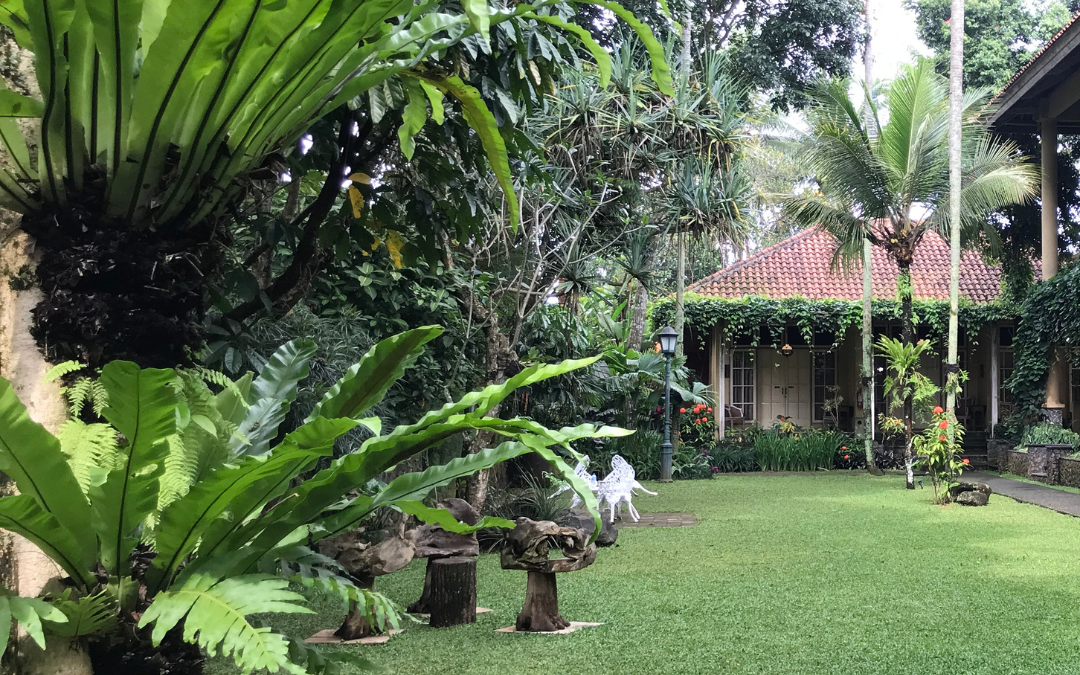 Does Landscaping Increase Property Prices in Australia?
