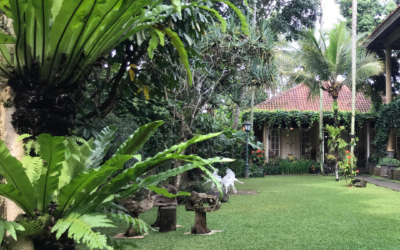 Does Landscaping Increase Property Prices in Australia?