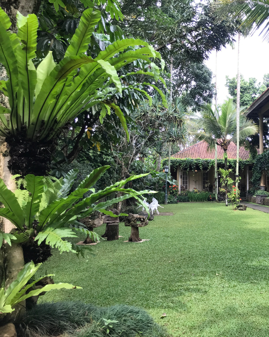 does-landscaping-increase-property-prices-australia Does landscaping increase property prices in Australia – street appeal example