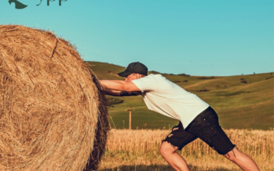 Good Debt vs Bad Debt: What Investors Need to Understand | YPP