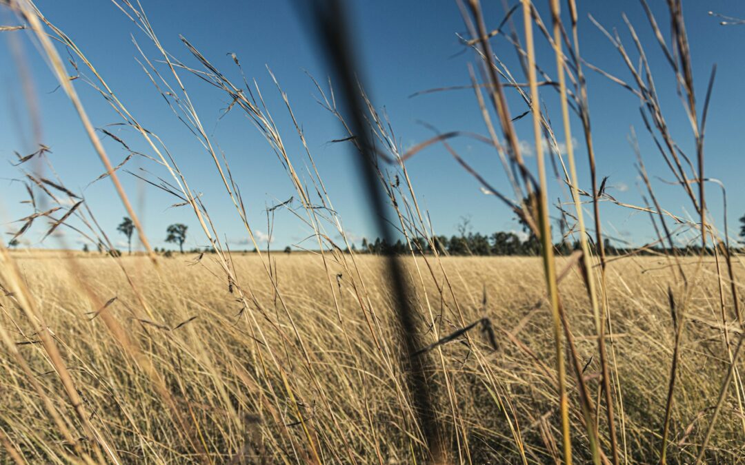 Land Costs Surge 75% in Five Years – Why This Creates Massive Investment Opportunities