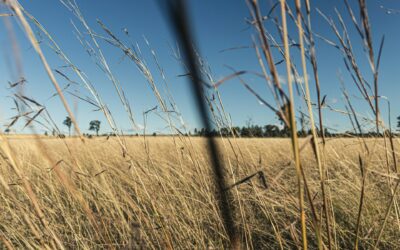 Land Costs Surge 75% in Five Years – Why This Creates Massive Investment Opportunities